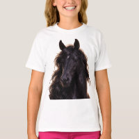 Magestic black stallion