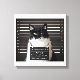 Maggie Cat Mug Shot Canvas Print