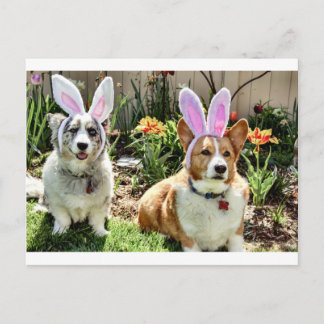 Maggie & Chuck Postcard