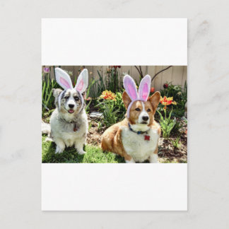 Maggie & Chuck Postcard