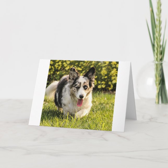 Maggie Mae Card (Front)