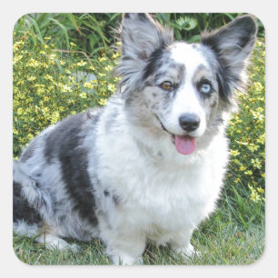 Maggie Mine Square Sticker