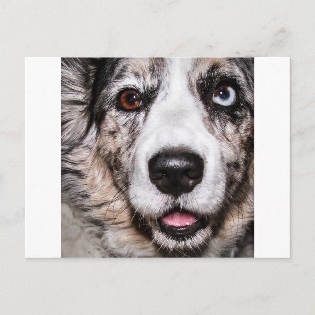 Maggie Postcard (Front)