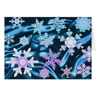 Magic and Wonder of Snow Flakes #3
