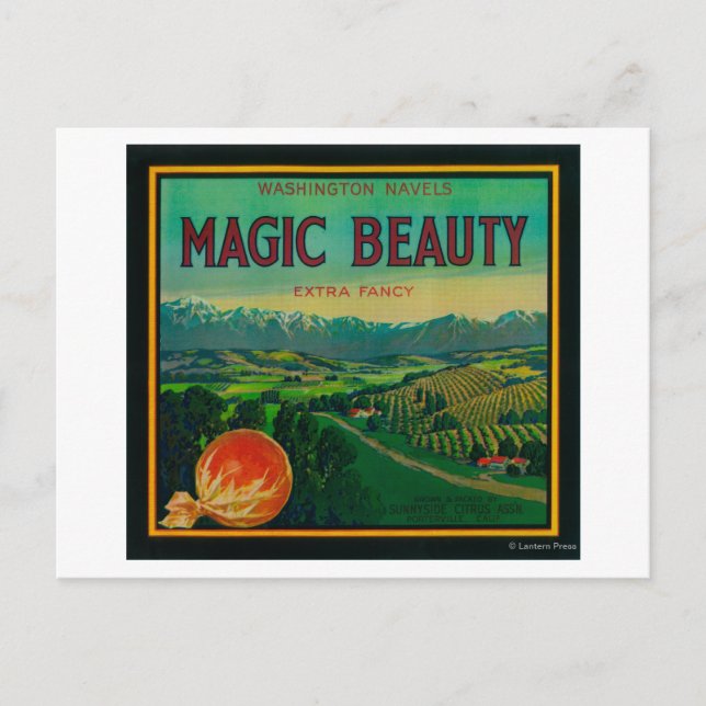 Magic Beauty Orange LabelPorterville, CA Postcard (Front)