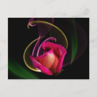 Magic Carousel Rose Postcards