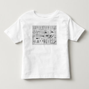 Magic Dances of the Ontonagons Toddler T-Shirt