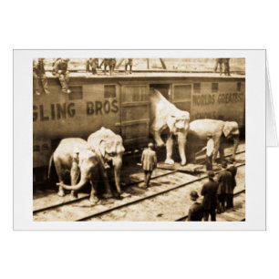 Magic Lantern Slide Ringling Bros Elephant Train