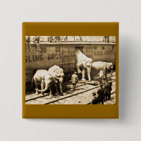 Magic Lantern Slide Ringling Bros Elephant Train