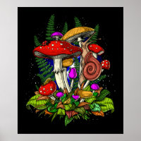 Magic Mushrooms Fungi