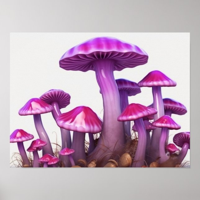 Magic Mushrooms Poster (Front)