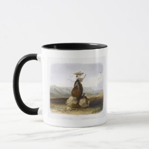 Magic Pile Erected by the Assiniboin Indians, plat Mug