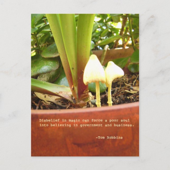 Magic postcard (Front)