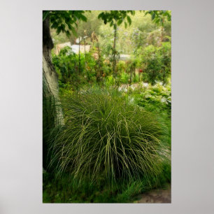 Magic Summer Garden Poster