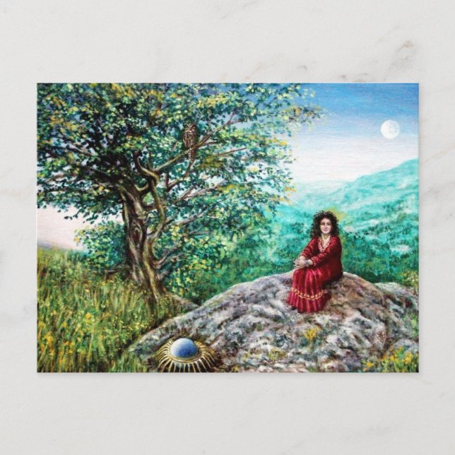 MAGIC TREE / Dawn In Green Wood and Lady in Red Postcard (Front)