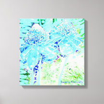 Magic Turquoise Blue Water Roses Resort