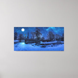Magic winter night with starry sky and full moon canvas print