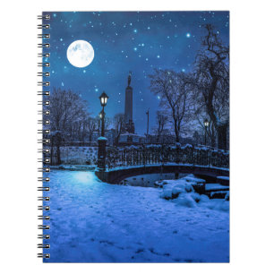 Magic winter night with starry sky and full moon notebook