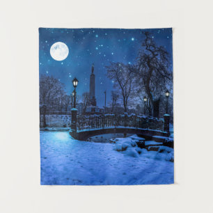 Magic winter night with starry sky and full moon tapestry