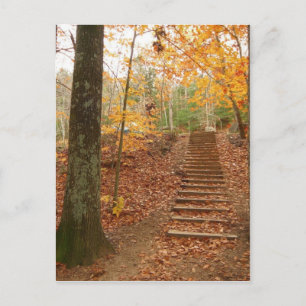 Magic Wood Stairs Postcard