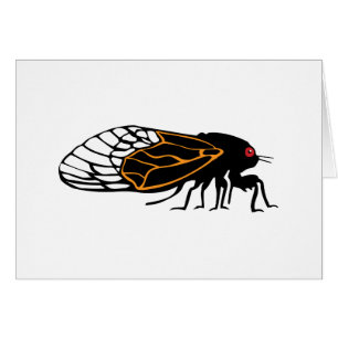 Magicada - Cicada - Cigale - Summer Buzz