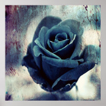 Magical Blue Rose Texturised