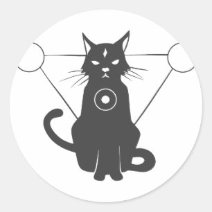 Magical cat silhouette - Choose background colour Classic Round Sticker