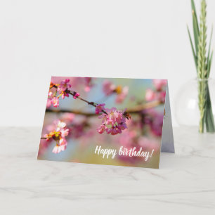 Magical Colours Of The Sakura Garden In Spring Card