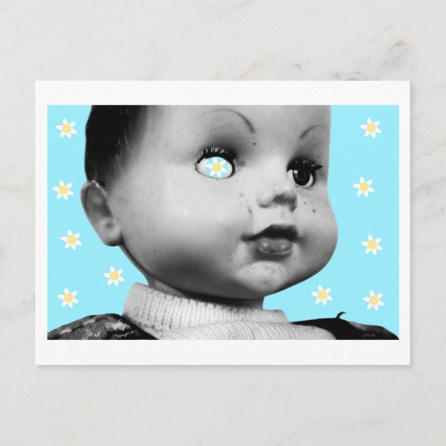 Magical Daisies for World Peace Postcard (Front)