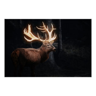 Magical Deer Poster