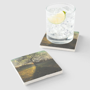 Magical fireflies dreamy landscape stone coaster