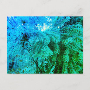 Magical Frozen Fir Tree Twigs in a Winter Forest Postcard