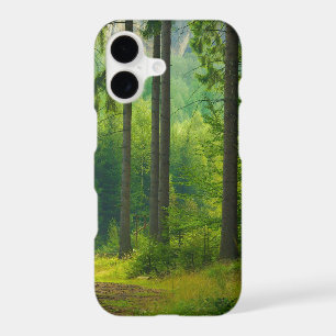 Magical green forest path trees mist