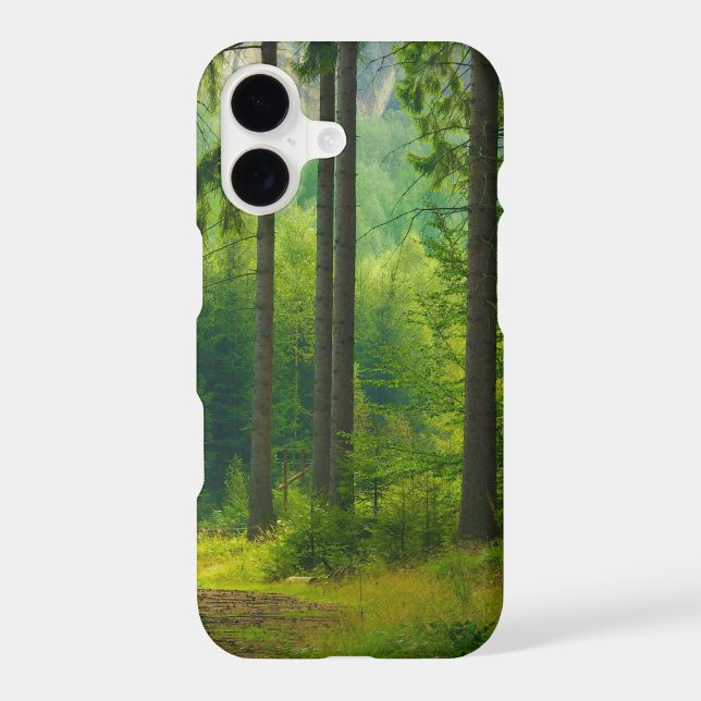 Magical green forest path trees mist  (Back)