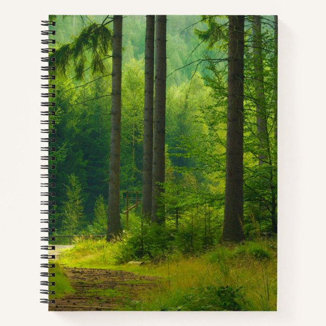 Magical green forest path trees mist  notebook (Front)