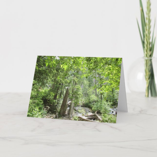 Magical Green Forest Scene.  Card (Front)