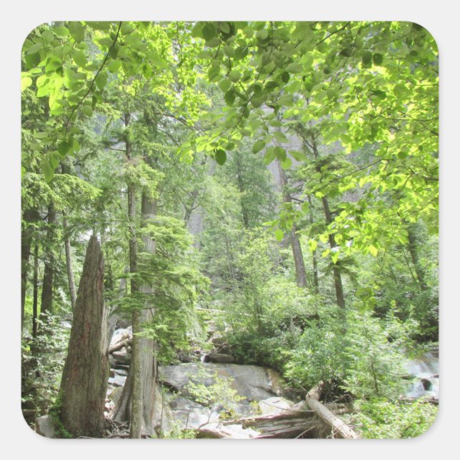 Magical Green Forest Scene.  Square Sticker (Front)