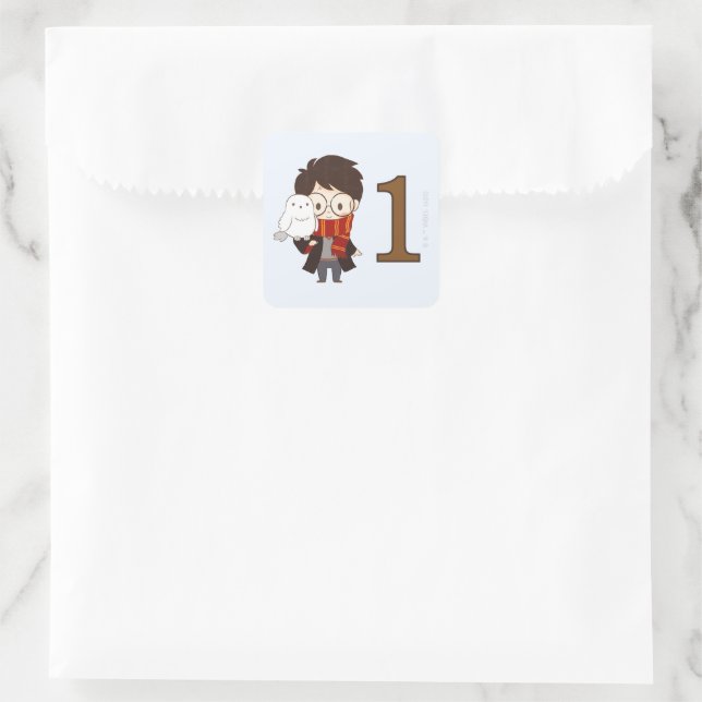 Magical HARRY POTTER™ and Hogwarts Birthday Square Sticker (Bag)
