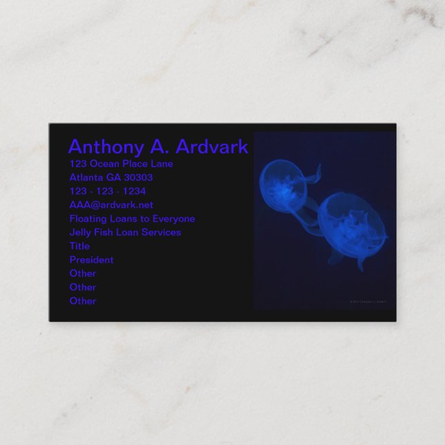 Magical Jelly Fish Business Card (Front)