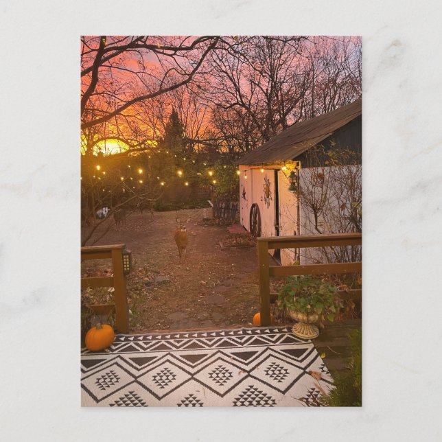 Magical Morning Postcard (Front)