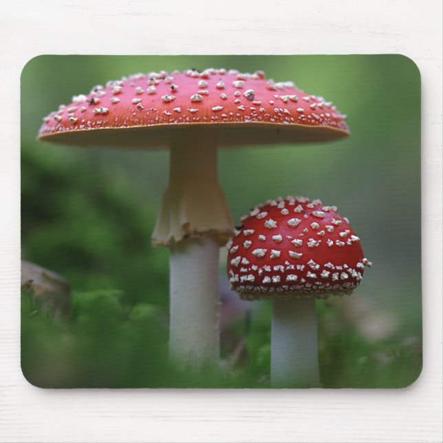 Magical Mushrooms Mouse Pad (Front)