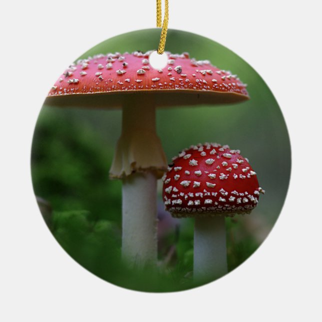 Magical Mushrooms Ornament Round (Front)