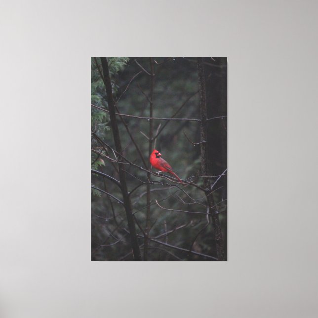 Magical Red Canvas Print (Front)