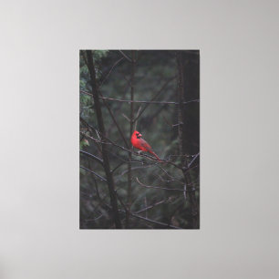 Magical Red Canvas Print