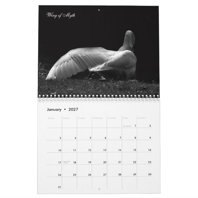 Magical Swans 2011 Calendar (Jan 2027)