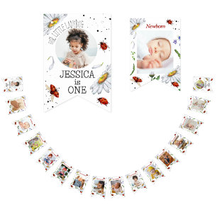 Magical Watercolor Cute 1st Birthday Ladybug Bunti Bunting