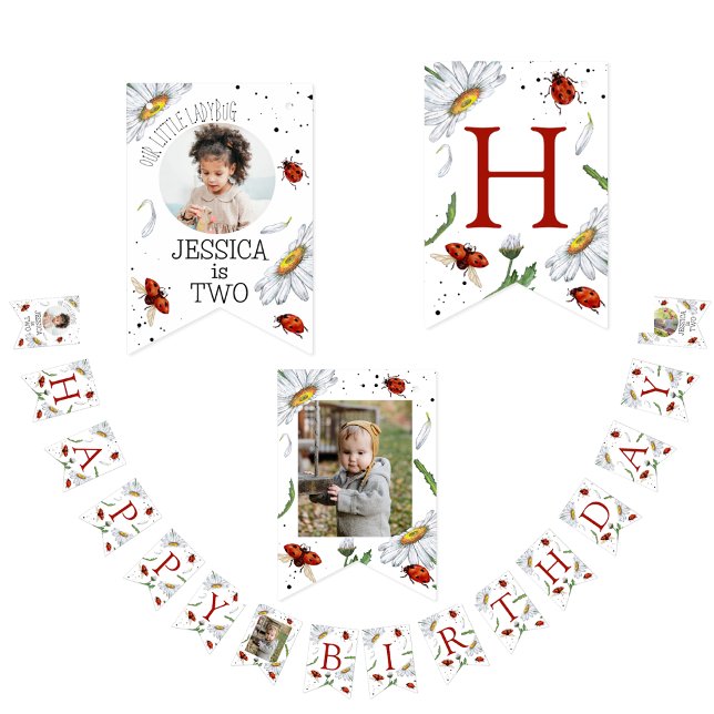 Magical Watercolor Cute Birthday Girl Ladybug Bunting (Creator Uploaded)