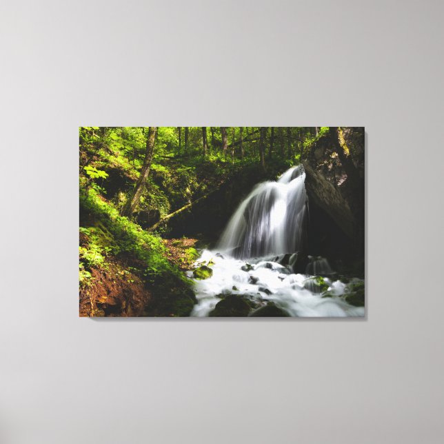 Magical waterfall in enchanting green forest canvas print (Front)