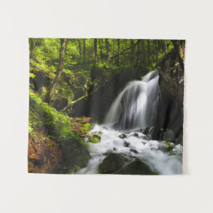 Magical waterfall in enchanting green forest tapestry
