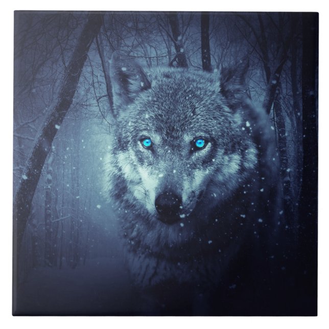 Magical Wild Wolf with Amazing Blue Eyes Tile (Front)
